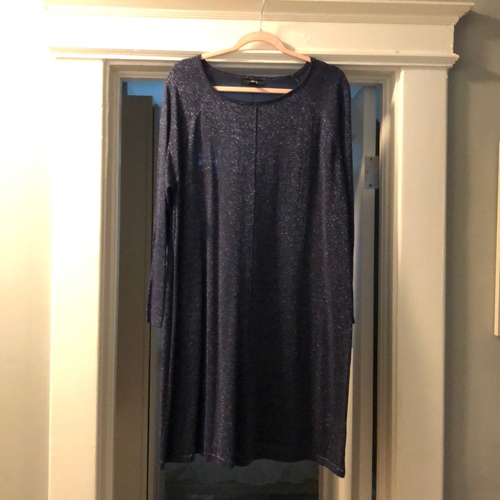 Sparkly light weight fabric sweater dress.